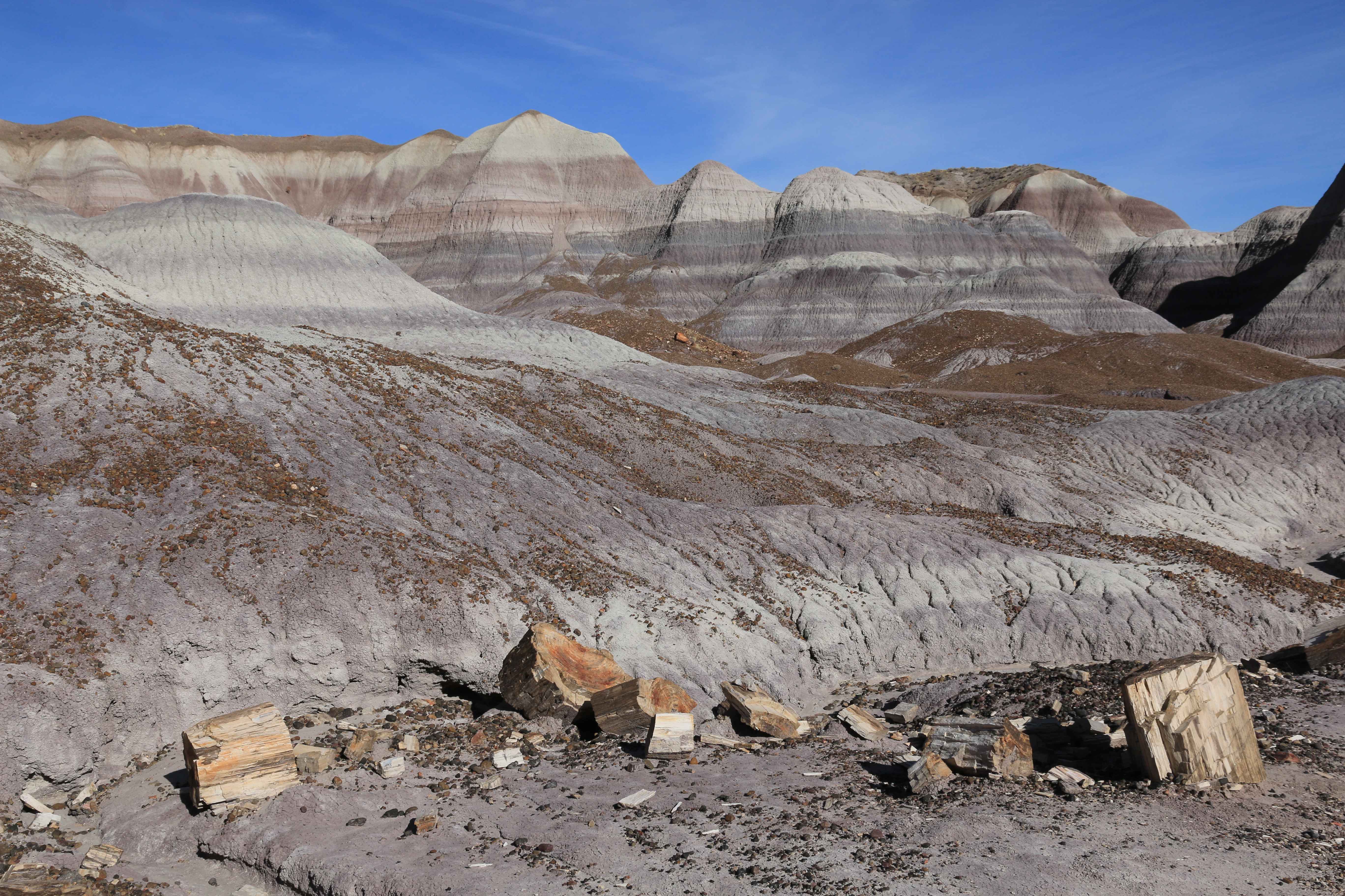 Petrified Forest NP